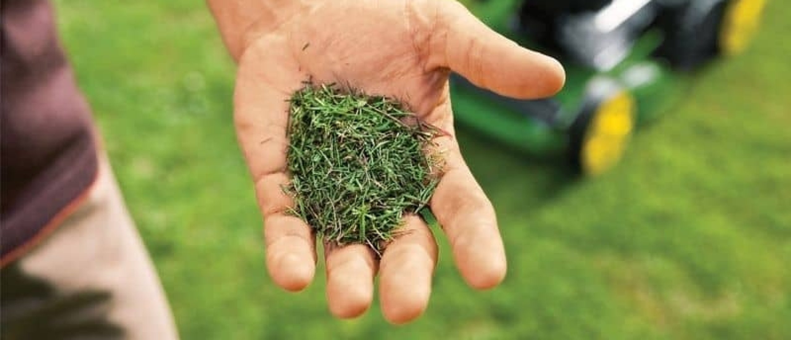 Wat is mulchen en hoe verbetert het je tuin én gazon?