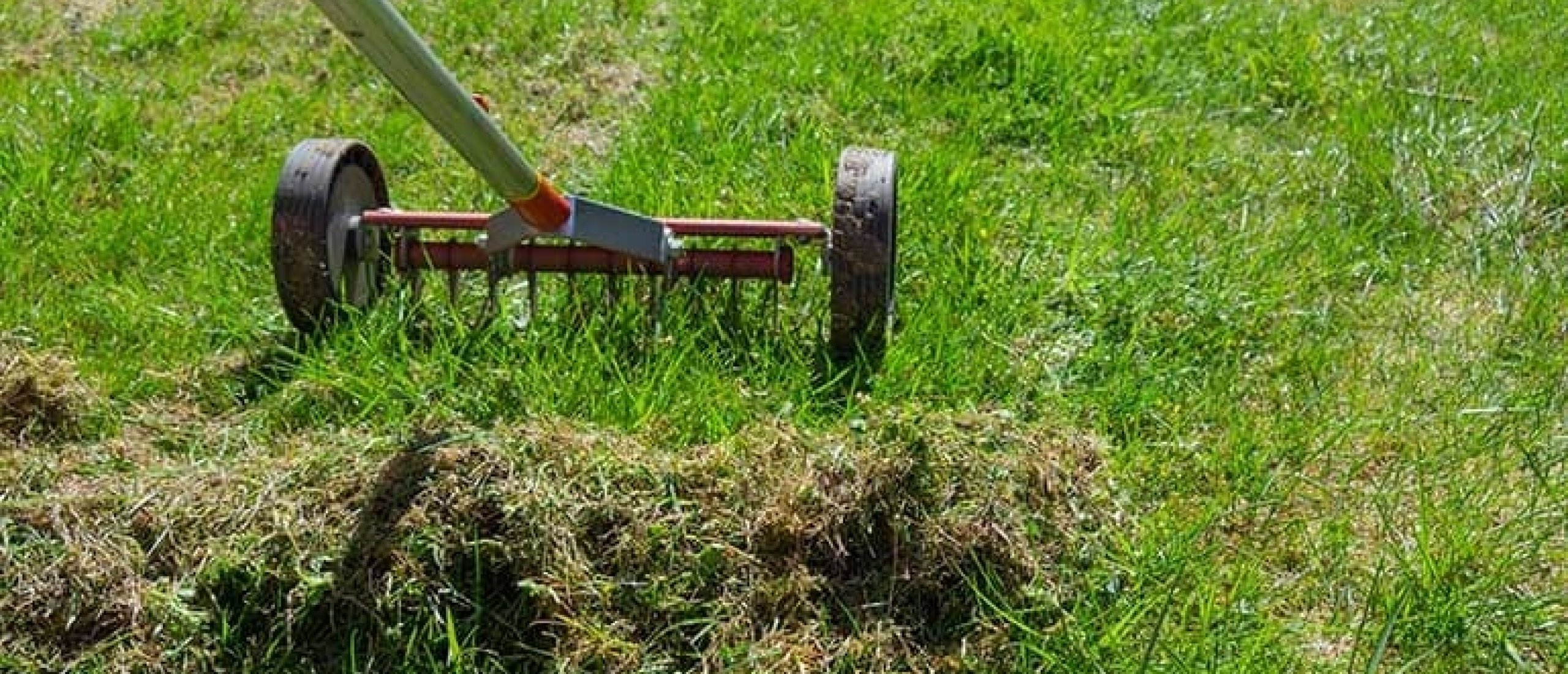 verticuteren najaar gazon verticuteerhark
