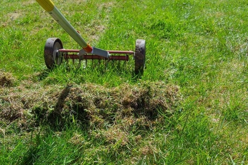 verticuteren najaar gazon verticuteerhark verticuteren najaar gazon verticuteerhark