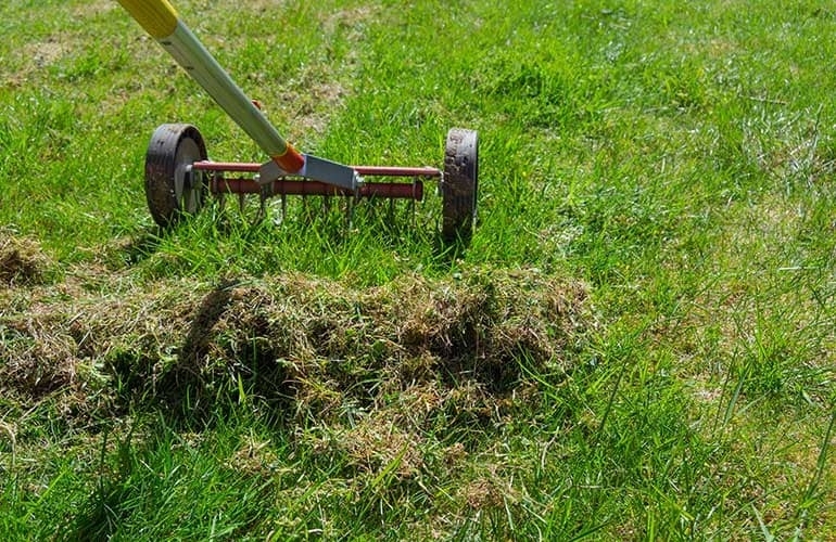 verticuteren najaar gazon verticuteerhark