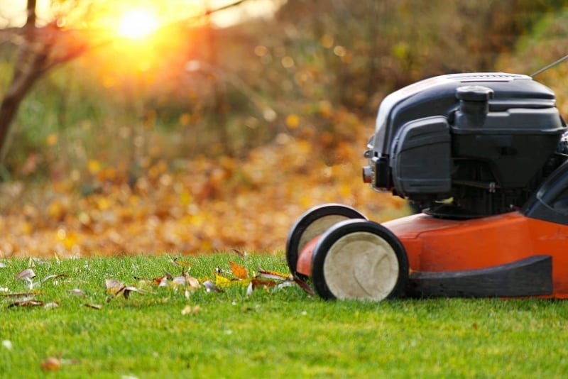 Waarom mulchen goed is voor je tuin