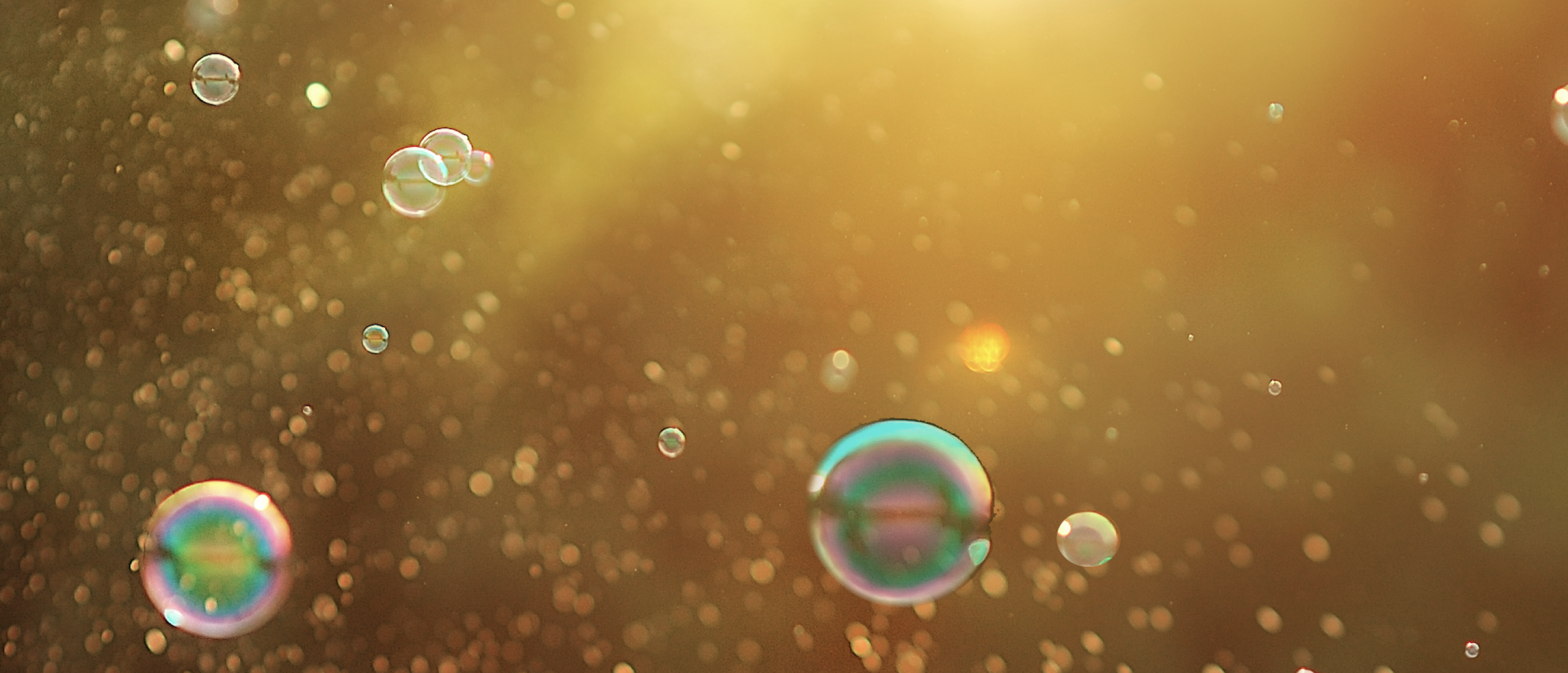 Het lichaam is een levende bijbel