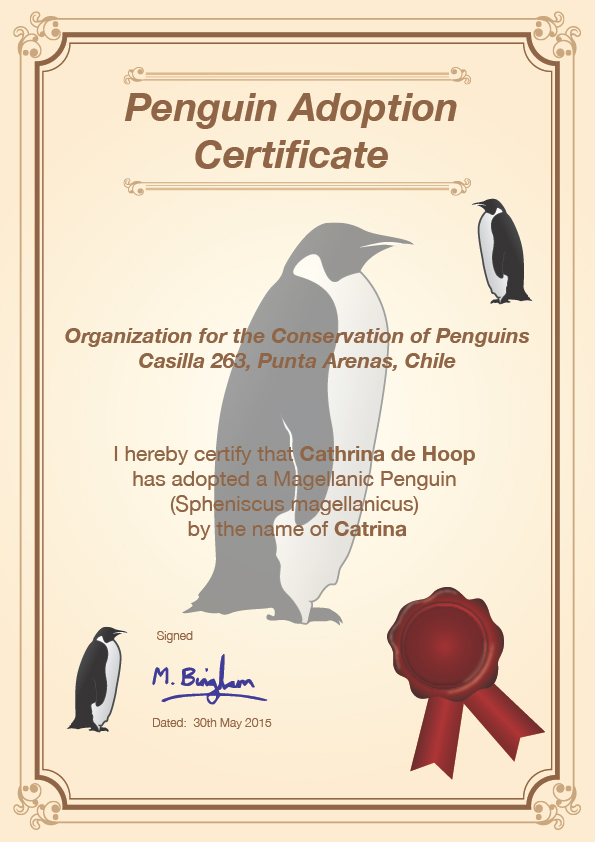 Penguin adoption certificate