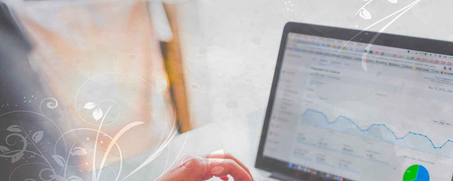 Wat betekent Organic Search in Google Analytics?