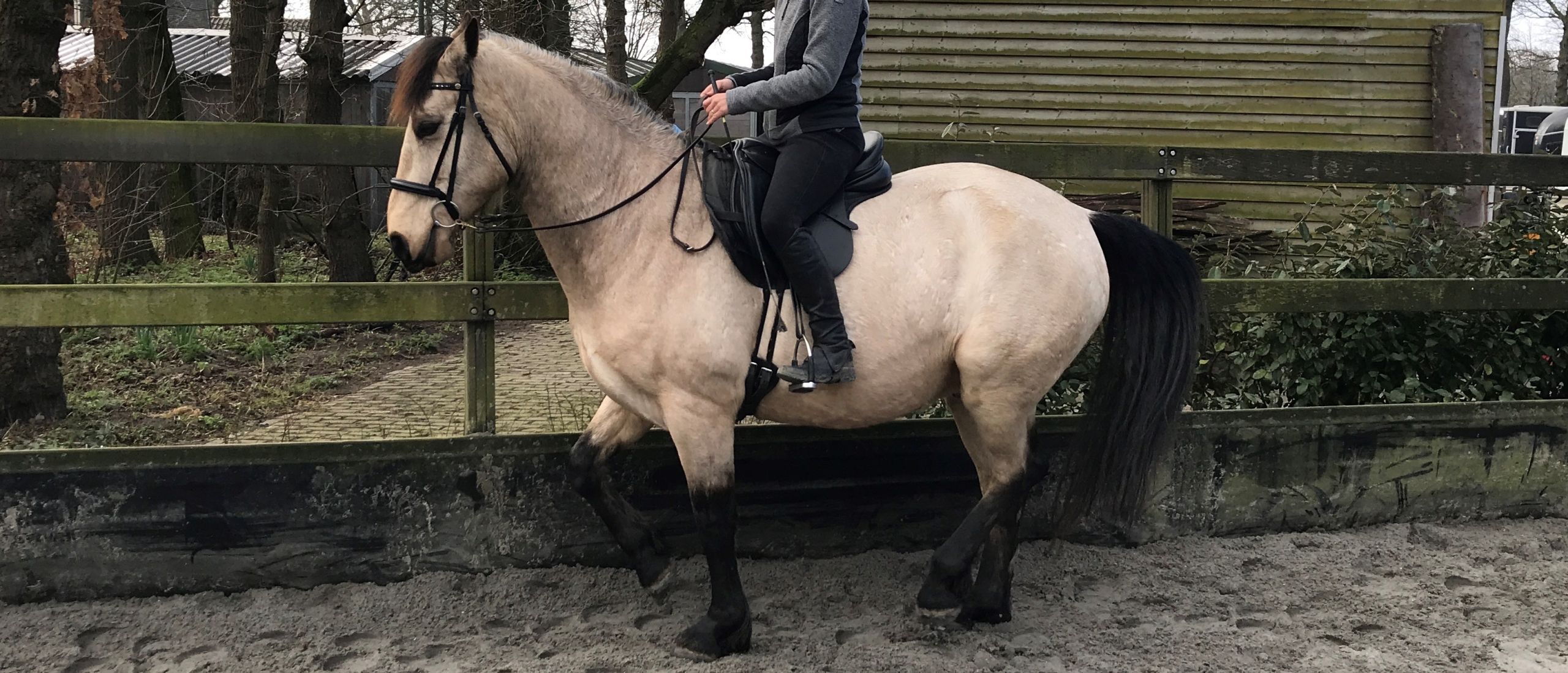 Zoë Coade in Piaffe with Lenny