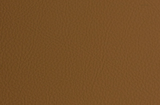 cuzco-oak