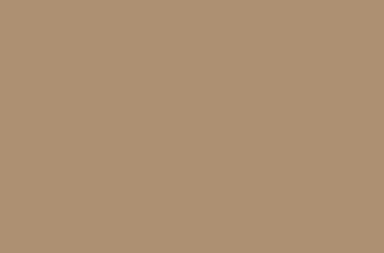 egger-u250-pm-caramel-beige