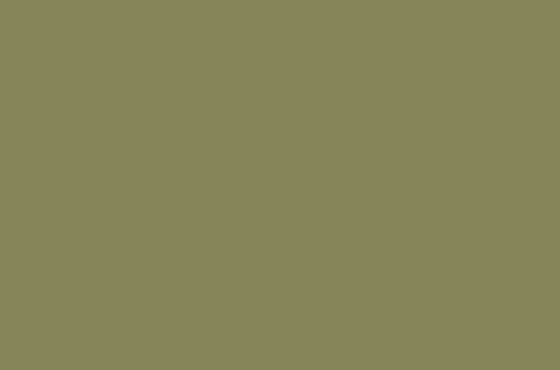 egger-u640-st9-olijf-groen