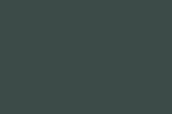 egger-u665-st9-steen-groen