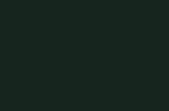 egger-u699-st9-sparren-groen