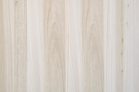 Impression fineer eucalyptus kwartiers