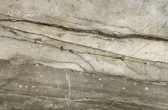 marmer silver roots