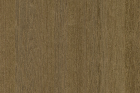 nf-eiken-camello