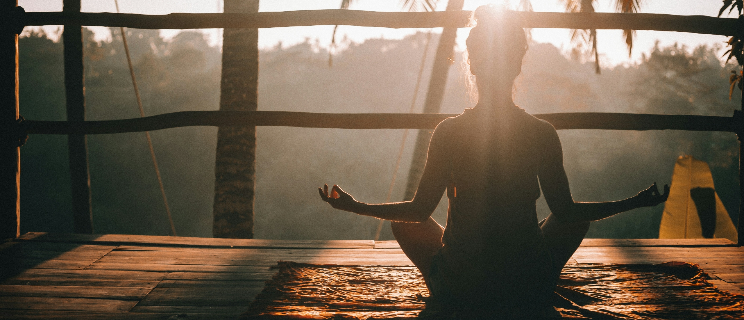 Rust in een wereld vol onrusti | TC2 Tribe