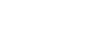 phoenix logo 350x120 2 1 1 1