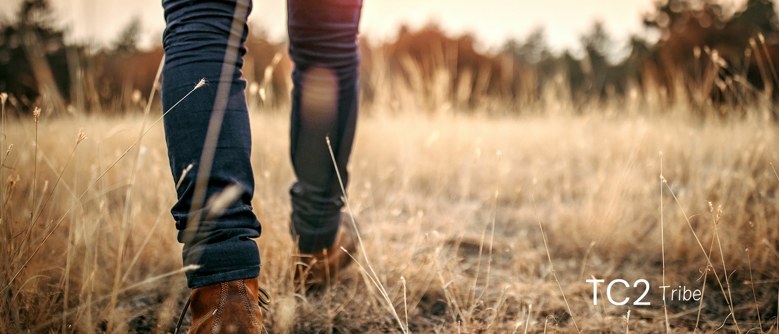 Beter slapen dankzij een ochtendwandeling – zo werkt het Beter slapen dankzij een ochtendwandeling – zo werkt het
