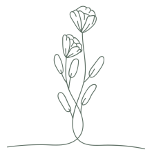 Mijn Tribe lifestyle planning