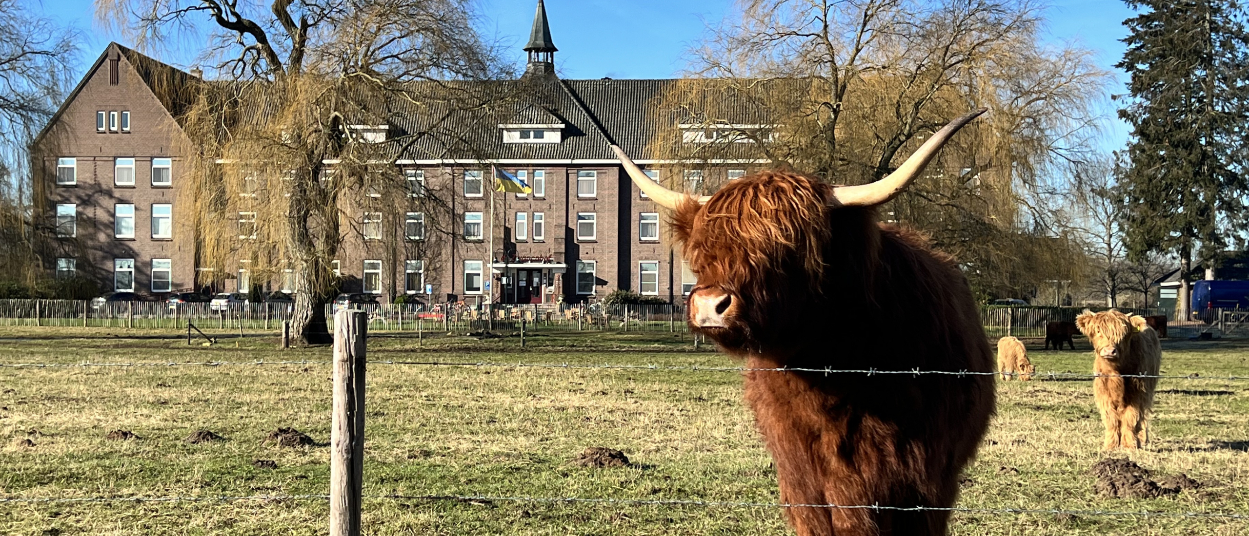 Onthaasten in Zenderen: ontdek de veelzijdigheid van activiteiten voor een ontspannen verblijf in Twente