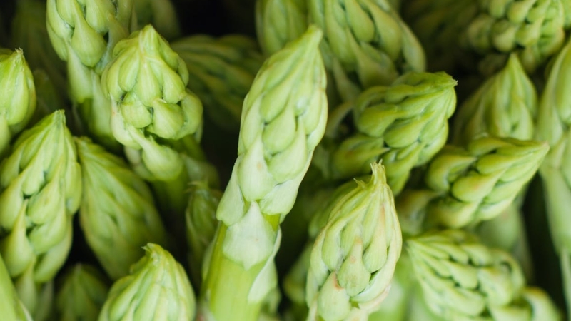 Waarom zijn asperges gezond?