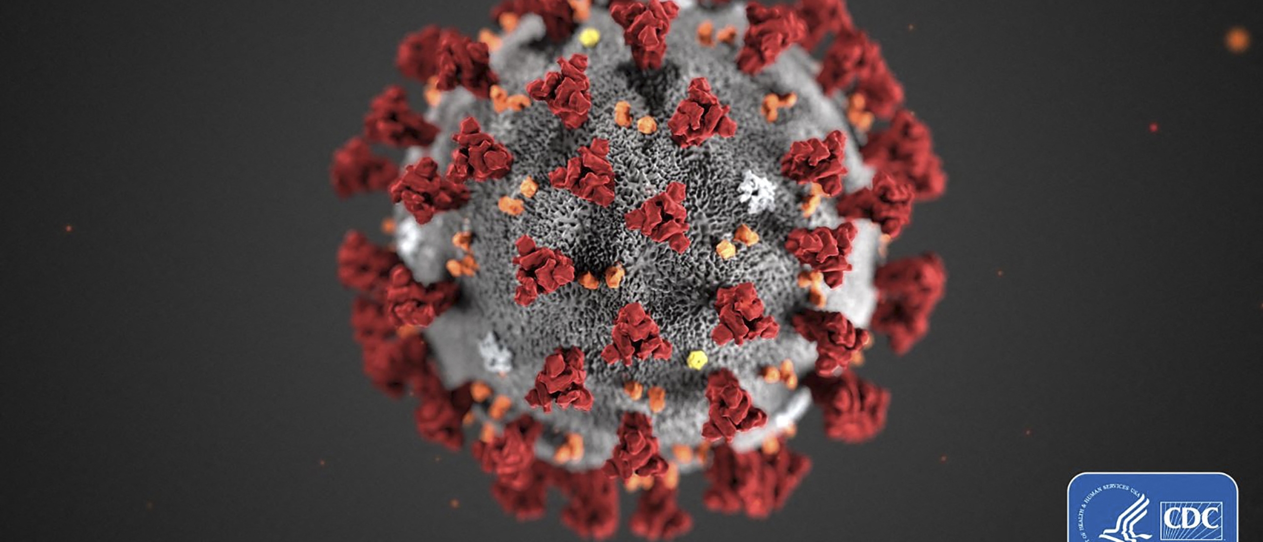 Monitor spoort in 5 minuten coronavirus in binnenruimte op