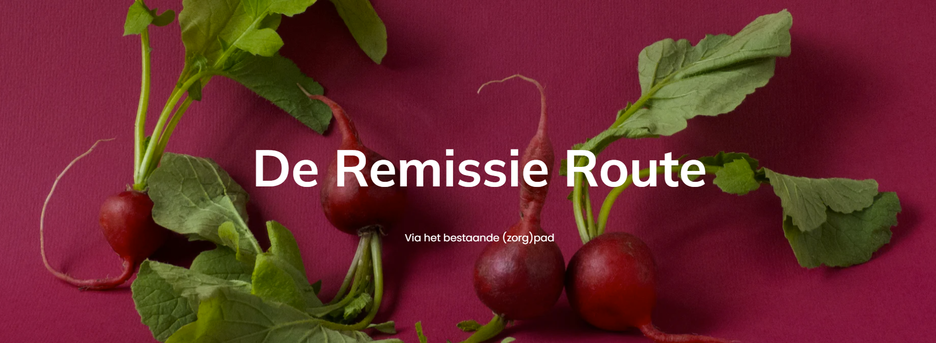 Onderzoek naar De Remissieroute