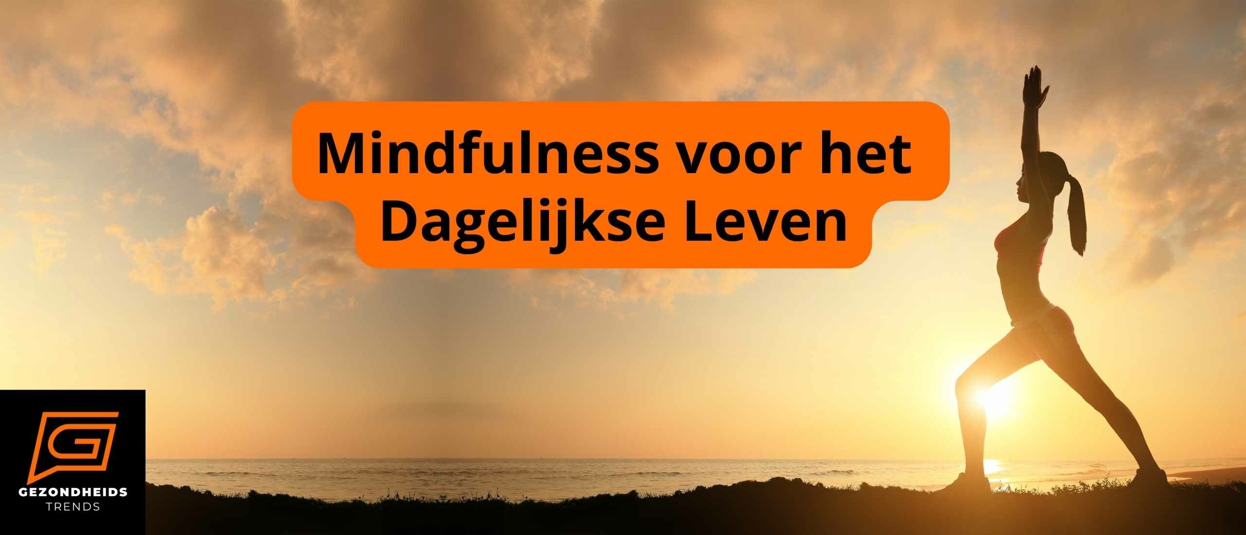 Mindfulness voor het Dagelijkse Leven