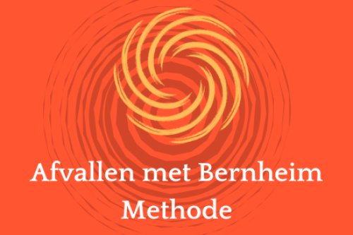 afvallen zonder dieet
