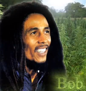 Bob Marley - No Woman No Cry mee leren spelen