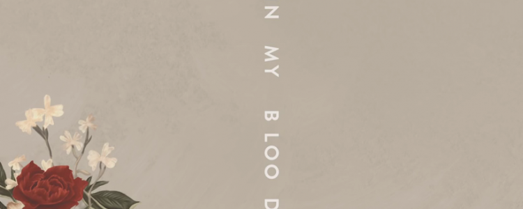 Gitaar akkoorden Shawn Mendes - In My Blood