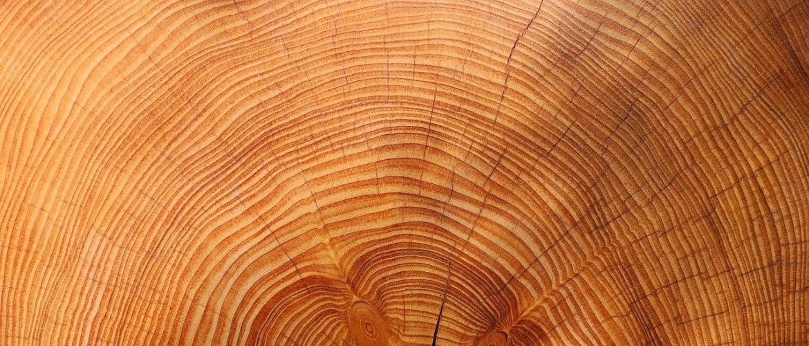 Welke houtsoorten worden gebruikt voor een gitaar?
