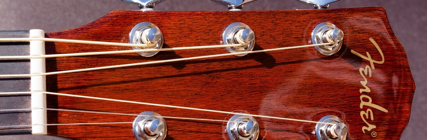 vis lassen Zeeslak Verschillende soorten gitaar snaren, welke moet je kiezen?