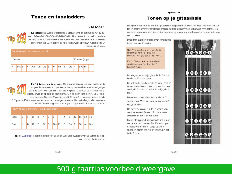 500 tips voor gitaristen E-boek voorbeeld pagina's