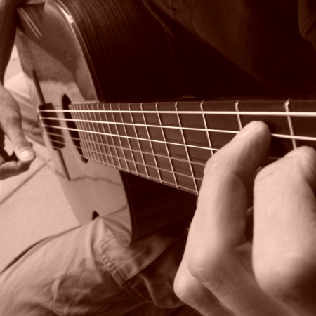 ondersteuning transactie Kracht Online gitaar cursussen voor beginners en half gevorderden