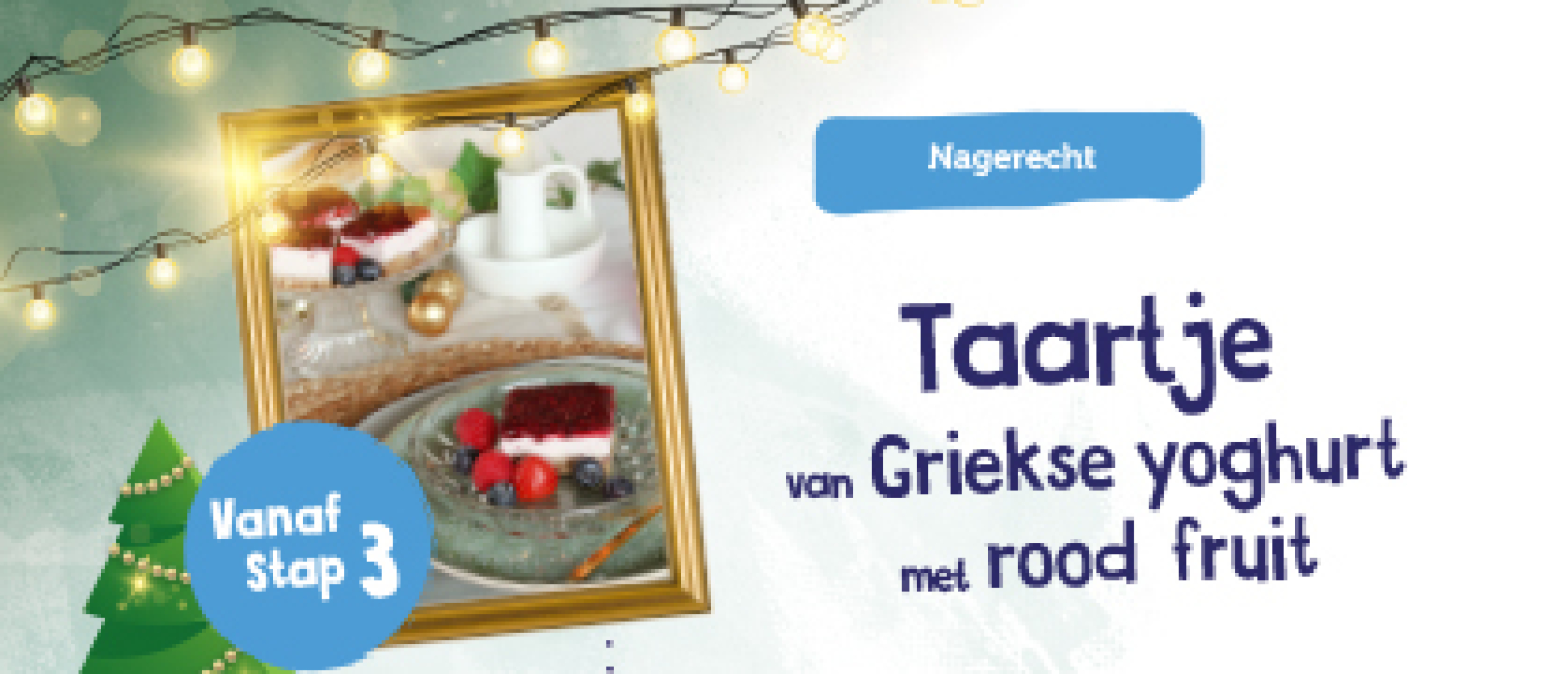 taartje-van-griekse-yoghurt-met-rood-fruit