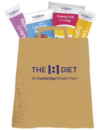 afvallen-met-het-1-op-1-online-dieet-415x500-1