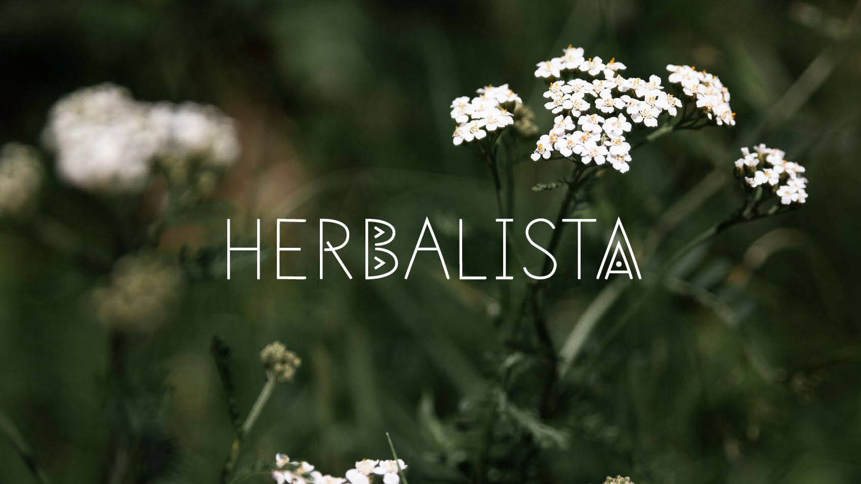 Herbalista, 6 maanden kruidenprogramma