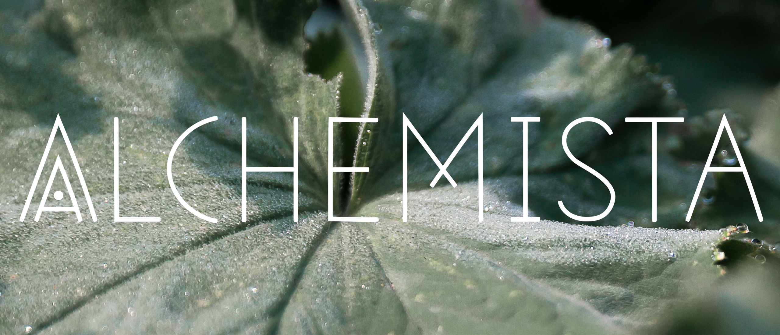 De reis naar je innerlijke alchemist(a)