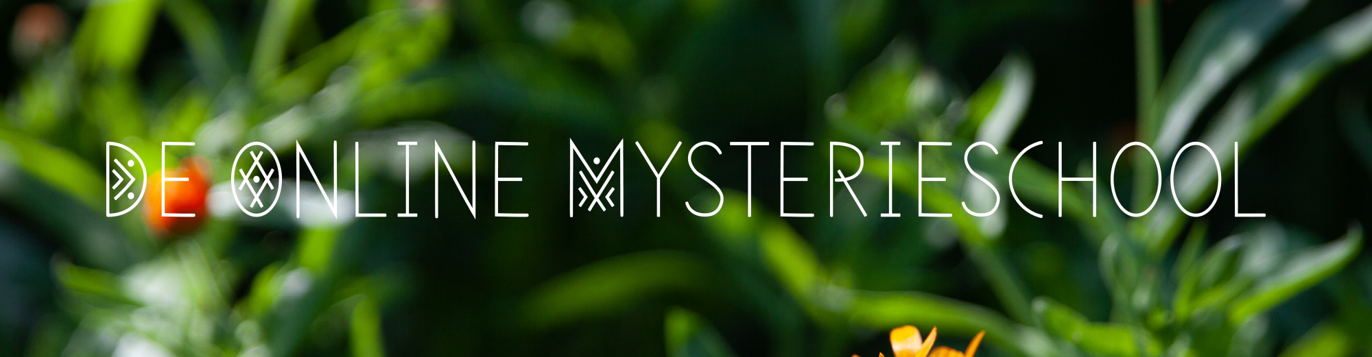 De online mysterieschol De online mysterieschool