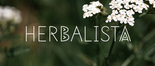 herbalista online krudienprogramma herbalista online krudienprogramma
