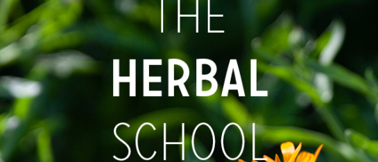 The Herbal School