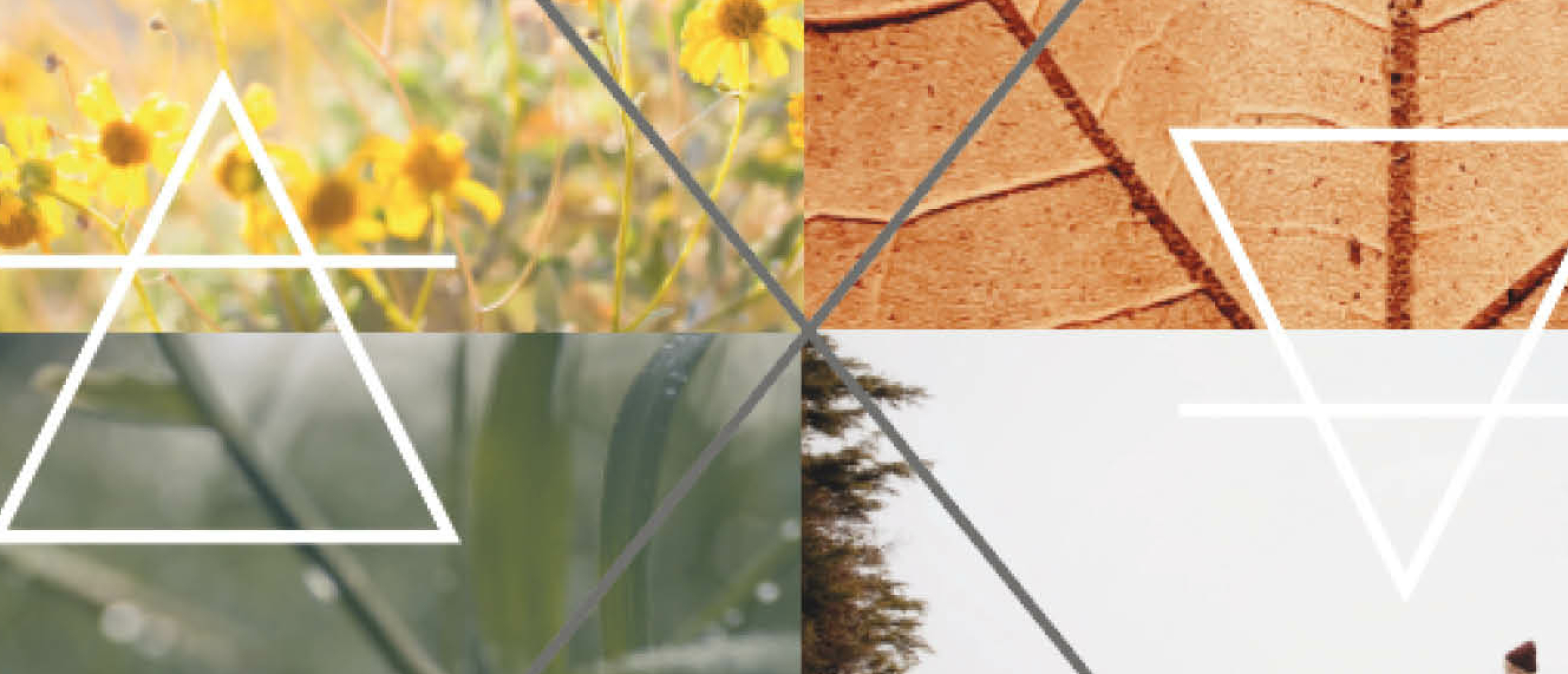 🎧 - Verbind je met de 4 energetische bewegingen