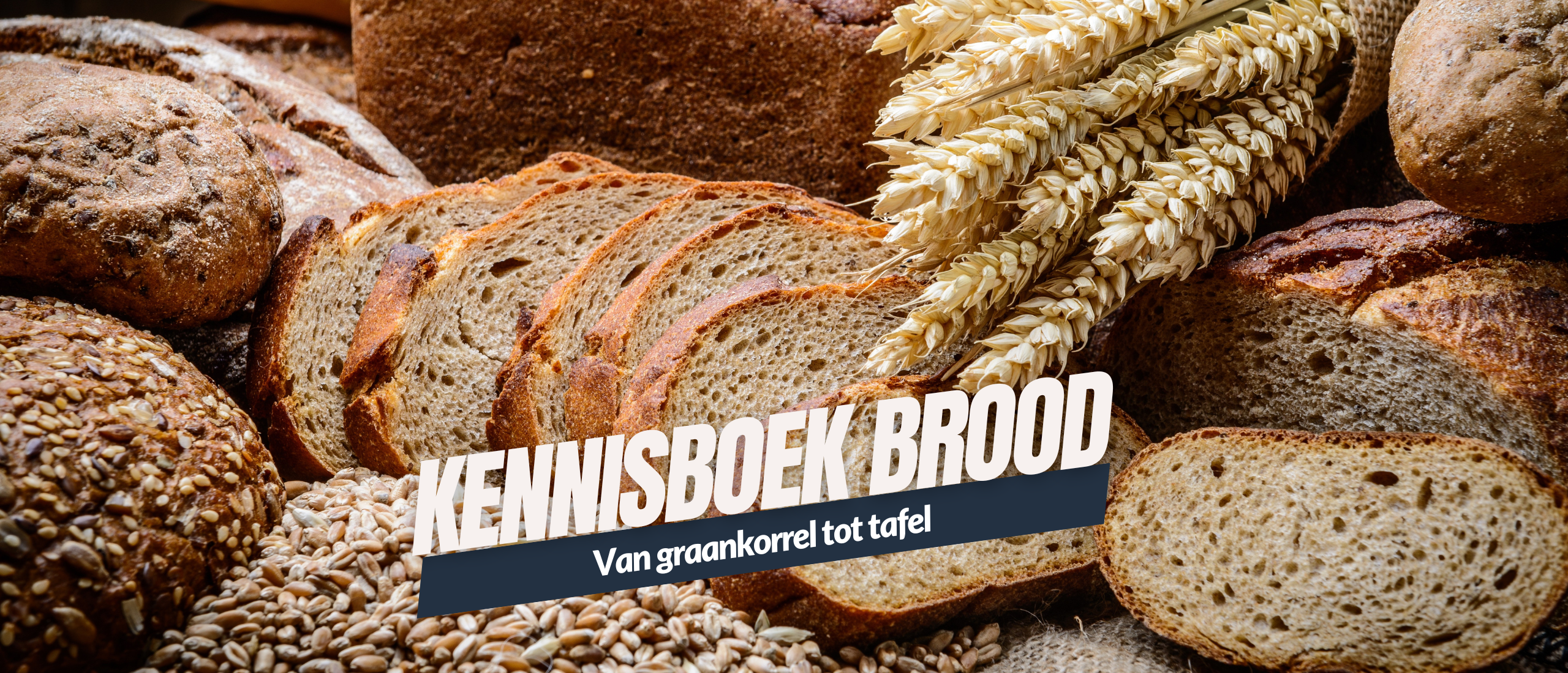 Brood van graankorrel tot tafel Kennisboek Brood Genzeloos Gastvrij