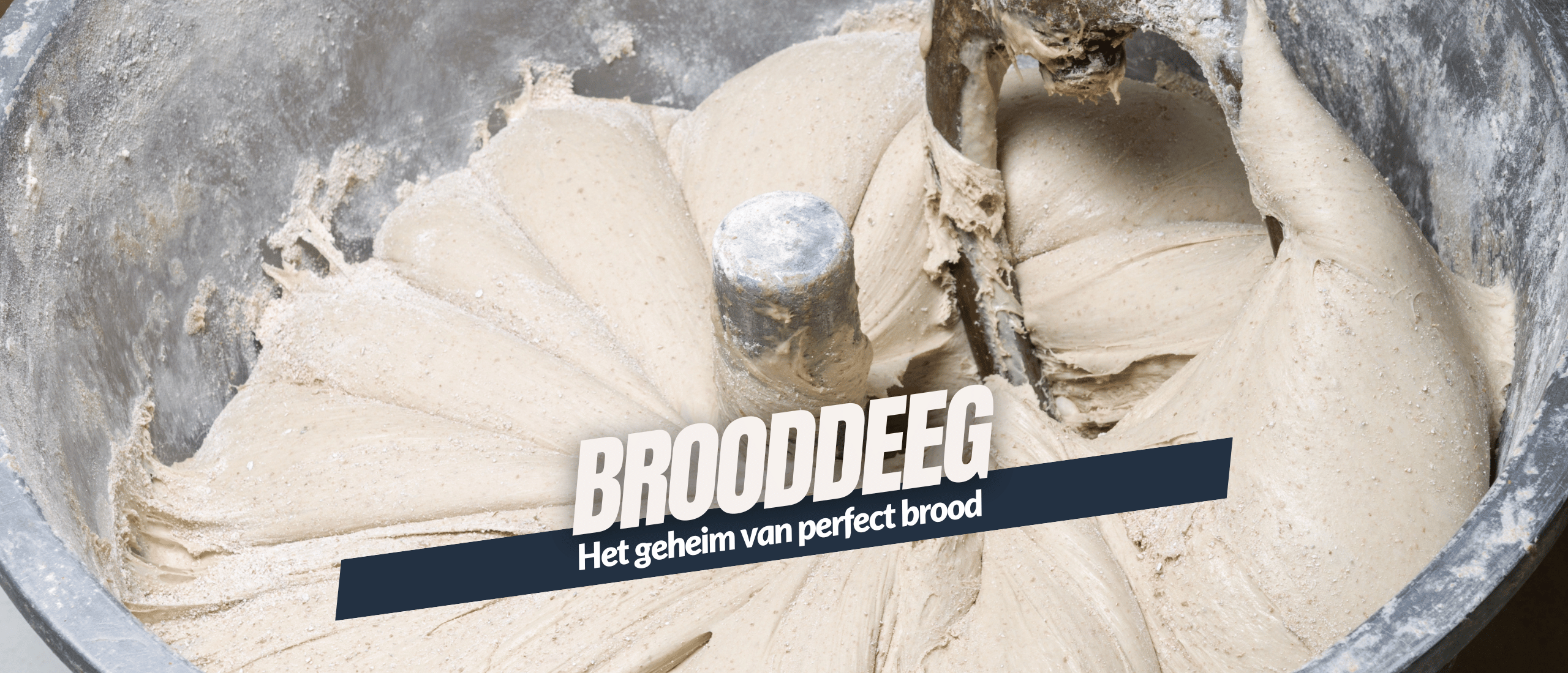 Brooddeeg Het geheim van perfect brood Kennisboek Genzeloos Gastvrij