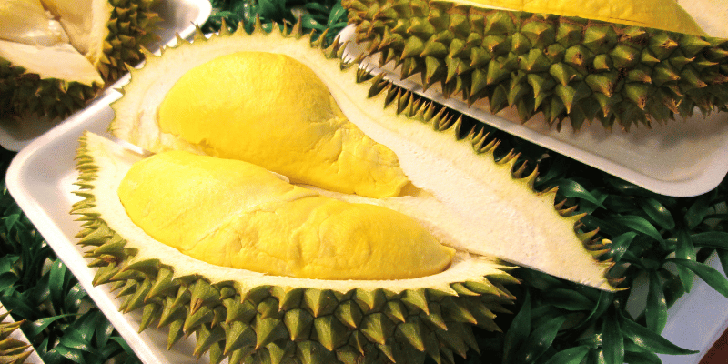 Durian Excotisch fruit Kennisboek Fruit Grenzeloos Gastvrij