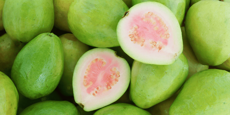Guave Excotisch fruit Kennisboek Fruit Grenzeloos Gastvrij.png