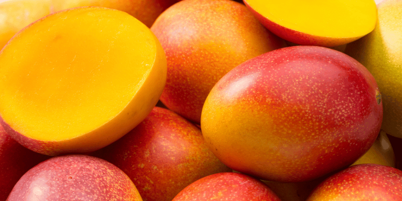 Mango Excotisch fruit Kennisboek Fruit Grenzeloos Gastvrij