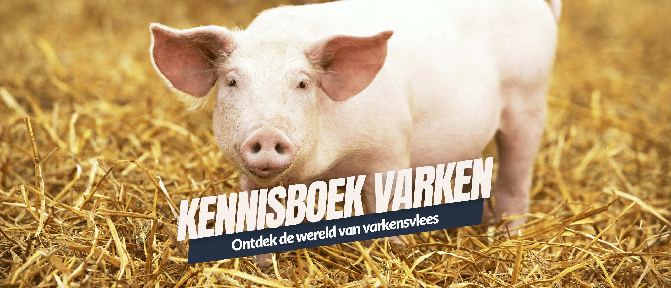 Ontdek de wereld van varkensvlees Kennisboek Varkensvlees Grenzeloos Gastvrij