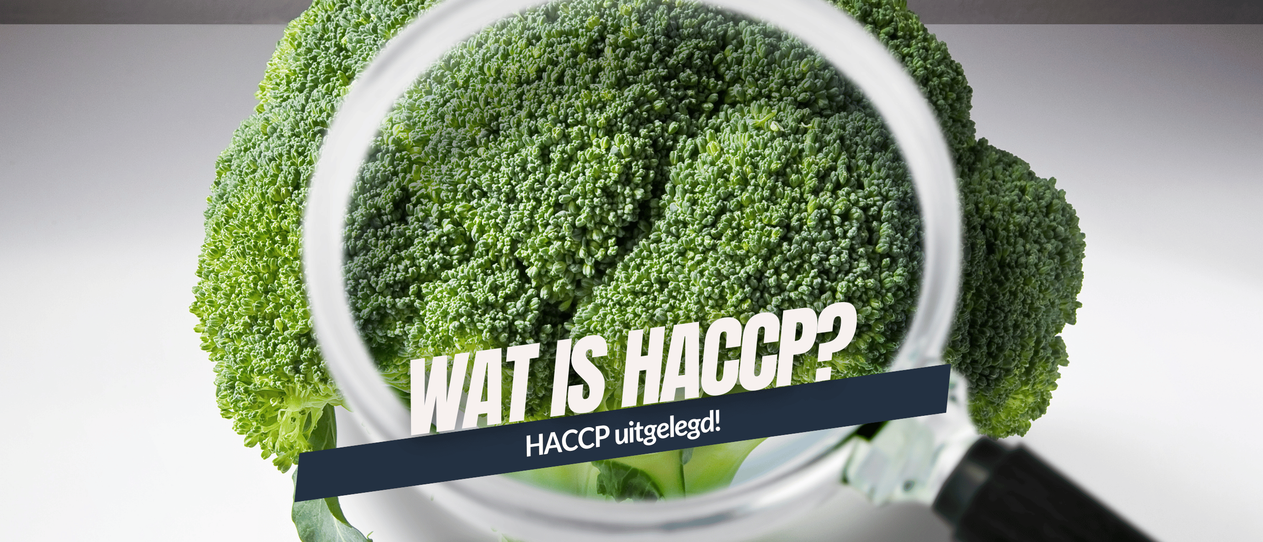 Wat is HACCP - Kennisboek HACCP en Hygiene - Grenzeloos Gastvrij