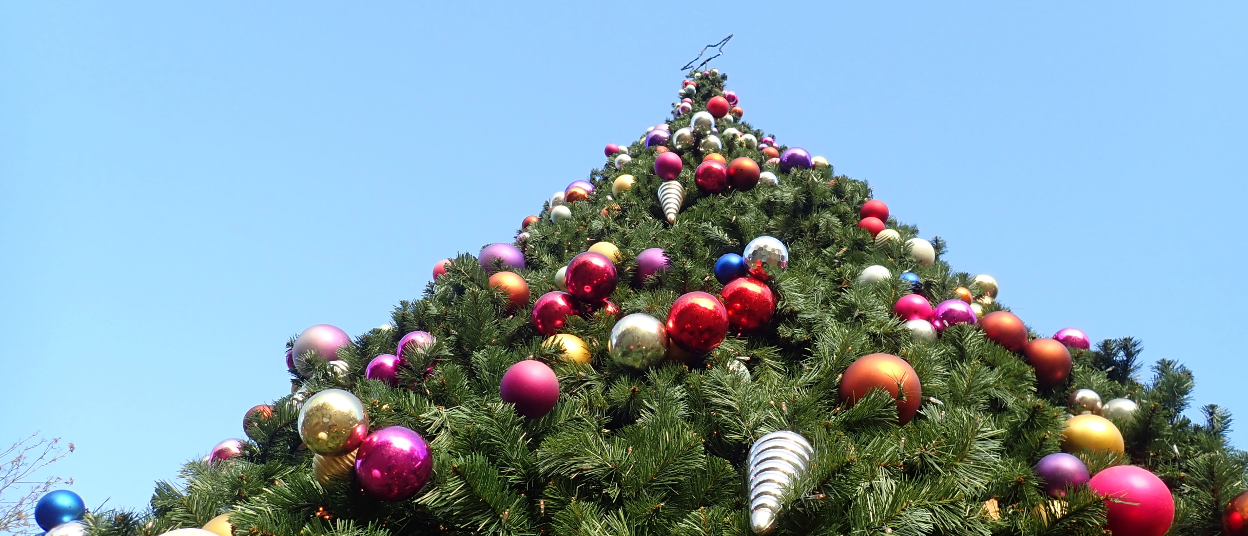 Van duurzame kerstboom tot kerstdiner en kerstcadeaus: zo vier je duurzaam Kerst
