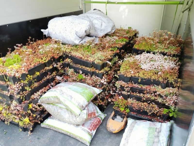 DIY groendak sedumcassettes pakket ontvangen